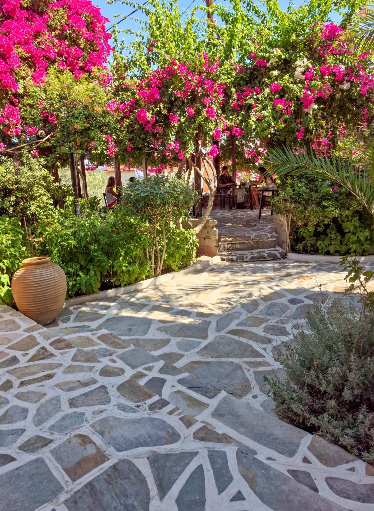 Vagia Traditional, Aegina Island 外观 照片