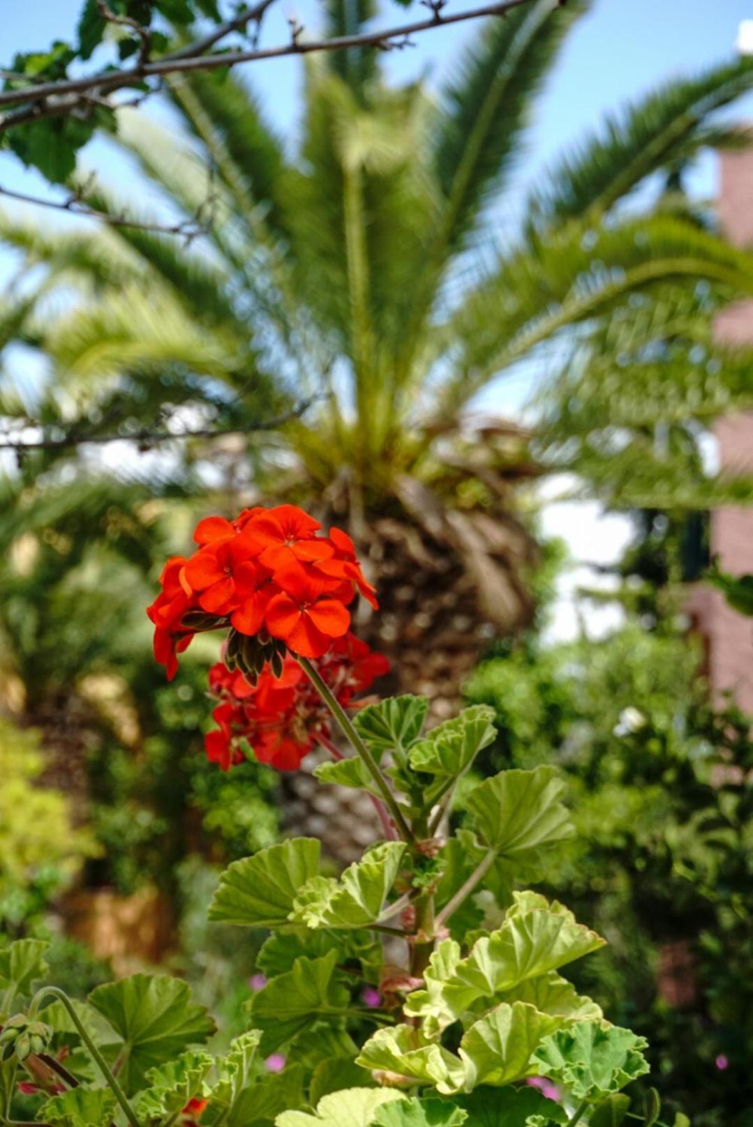 Vagia Traditional, Aegina Island 外观 照片