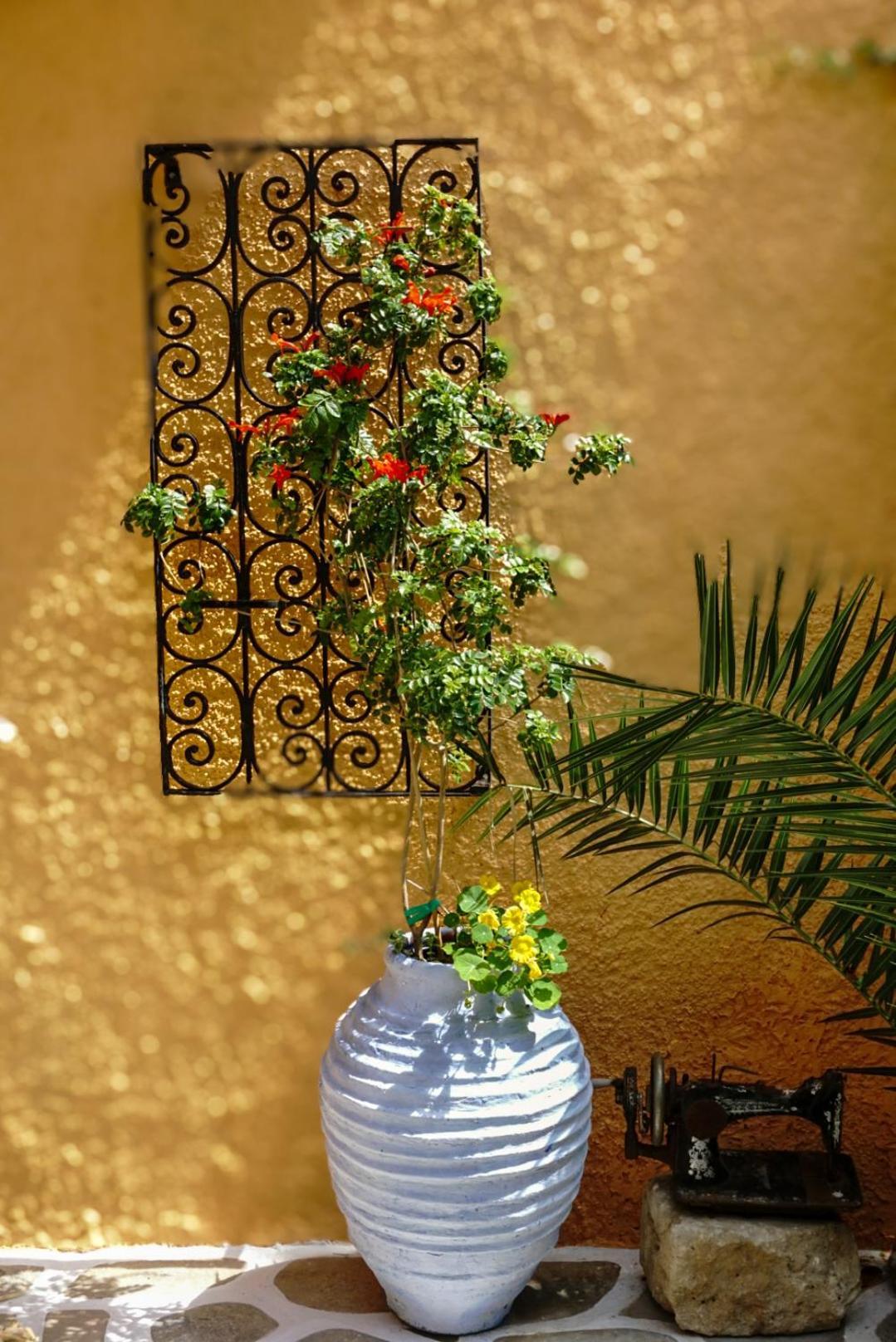 Vagia Traditional, Aegina Island 外观 照片